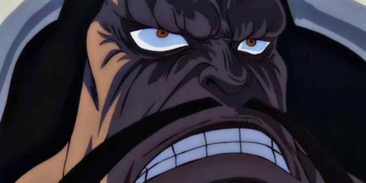 8. Kaido (one Piece)