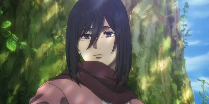 Mikasa Smile