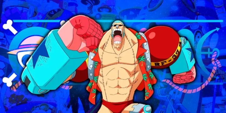 One Piece Franky 1