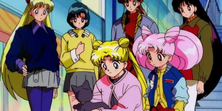 Sailor Moon S Sailors Gathered Around Cat Luna