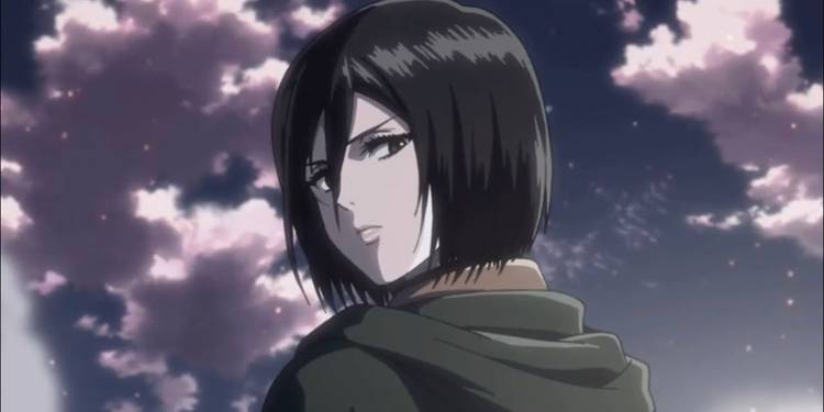 Mikasa