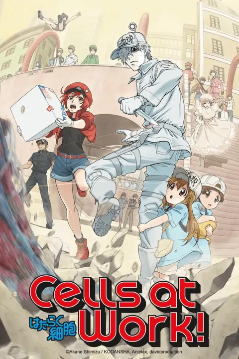 Cells At Work 2018