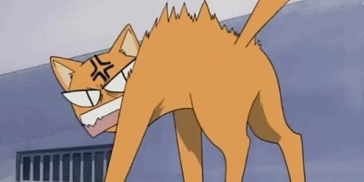 Fruits Basket S Kyo As An Angry Cat