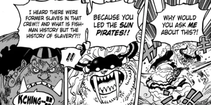 Who S Who Mentions The Sun Pirates While Asking Jinbe About Nika In One Piece