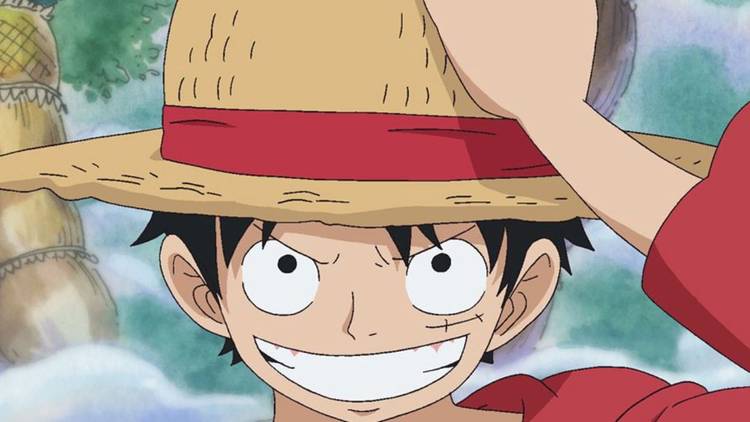 Luffy 10