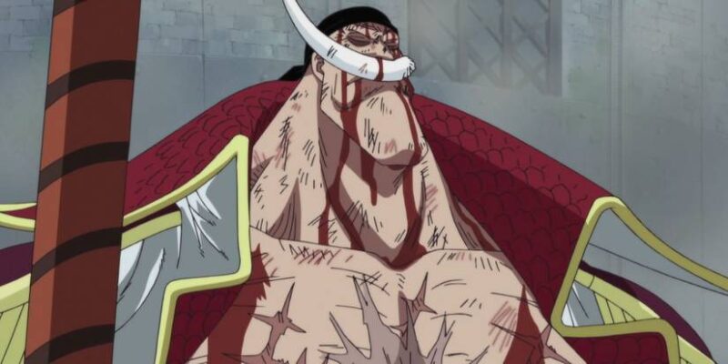 Whitebeard