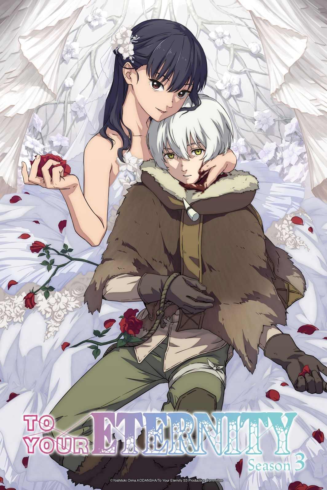 To your visual compressed